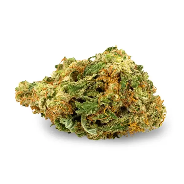 Bud image for Blue Dream, cannabis dried flower by Aurora