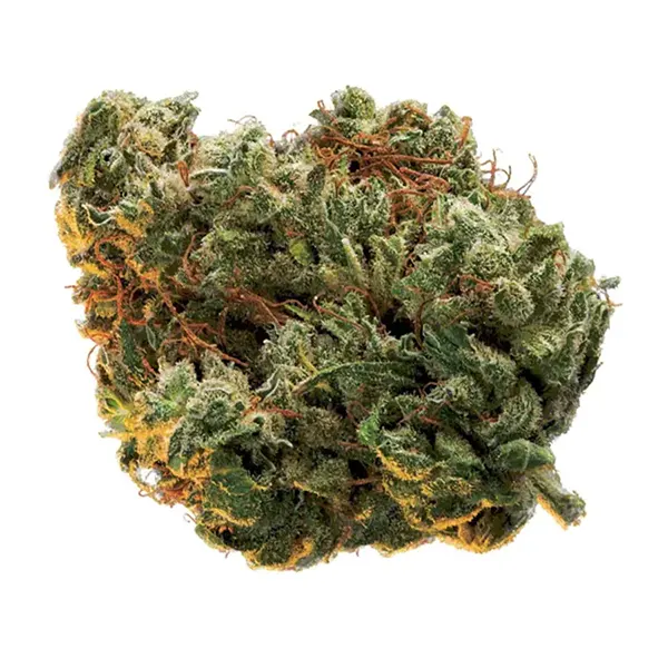 Product image for Rio Bravo, Cannabis Flower by Edison