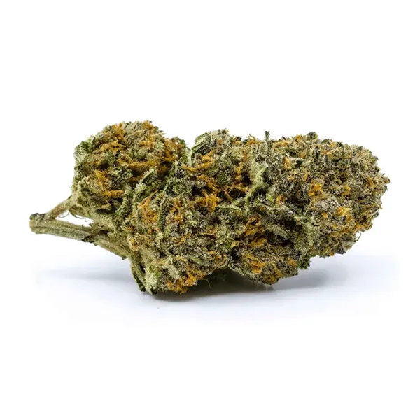 Bud image for Wappa, cannabis dried flower by Redecan