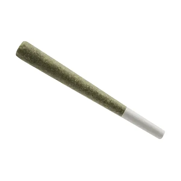 Image for Jack Haze Pre-Roll, cannabis all products by Sugarleaf