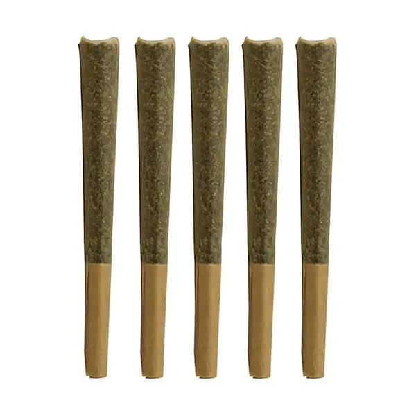 Image for The Boss Pre-Roll, cannabis all categories by Eve & Co