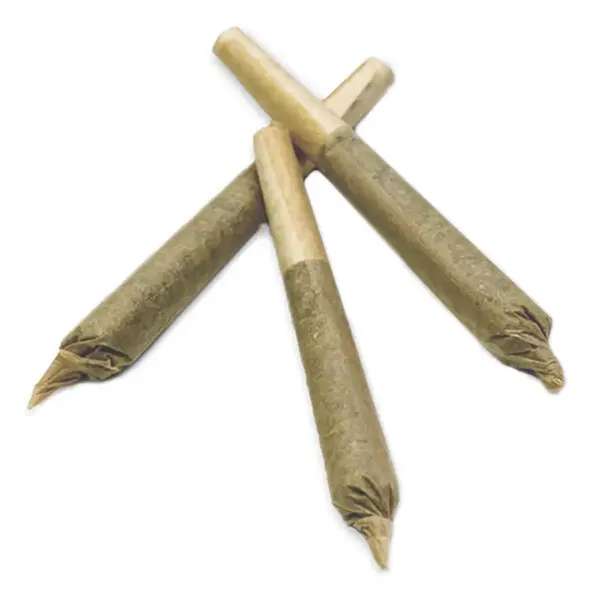 Image for Sensi Star Pre-Roll, cannabis all products by Namaste