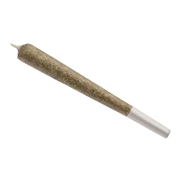 Hybrid Ace Pre-Roll (Pre-Rolls) by Aurora