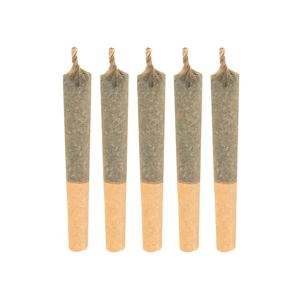 No. 402 Blueberry Kush Pre-Roll (Pre-Rolls) by Haven St. Premium Cannabis