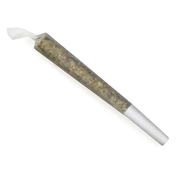 Sensi Star Pre-Roll