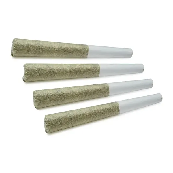 Image for Daily Rind Pre-Roll, cannabis all products by Symbl