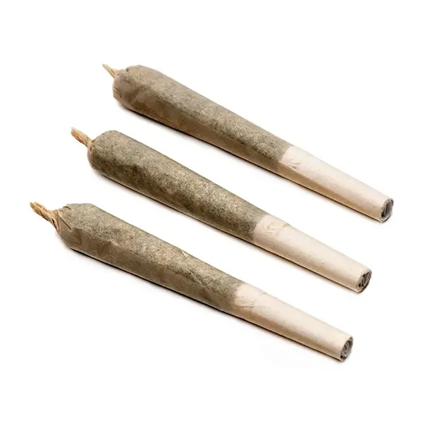Image for Pregame Pre-Roll, cannabis all products by Blazery