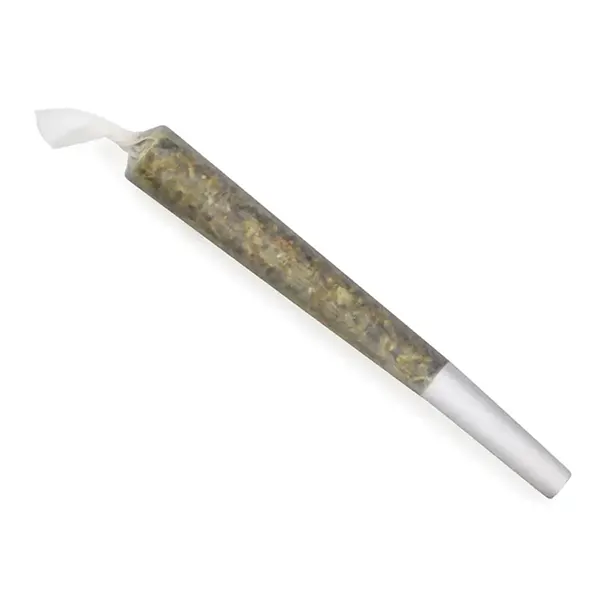 Image for Revive Pre-Roll, cannabis all products by Cove