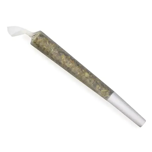 Image for Rise Pre-Roll, cannabis pre-rolls by Cove