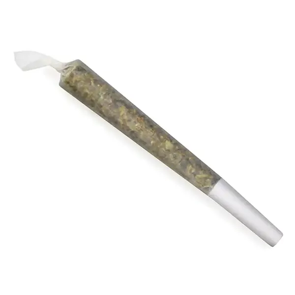 Rise Pre-Roll