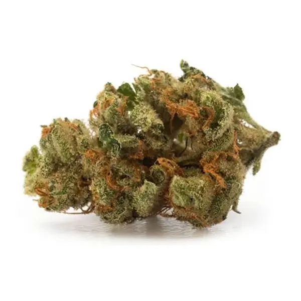 Product image for Aurora Cannabis Flower by Aurora Cannabis