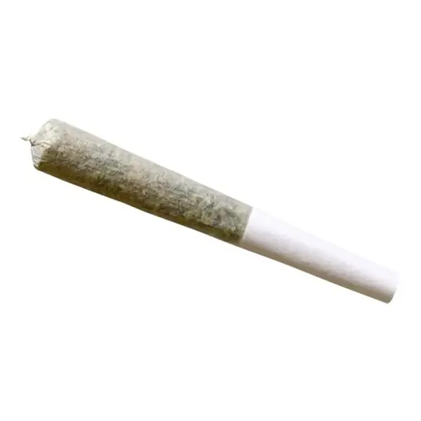 Image for Rio Bravo Pre-Roll, cannabis all products by Edison