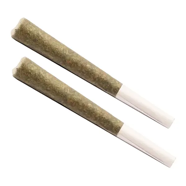 Product image for No. 01 Pre-Roll, Cannabis Flower by Wink