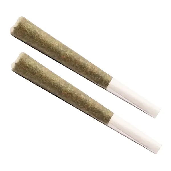 No. 01 Pre-Roll