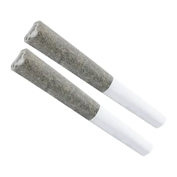 Jack Herer Pre-Roll