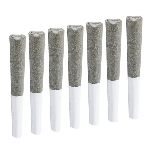 Jack Herer Pre-Roll (Pre-Rolls) by Indiva