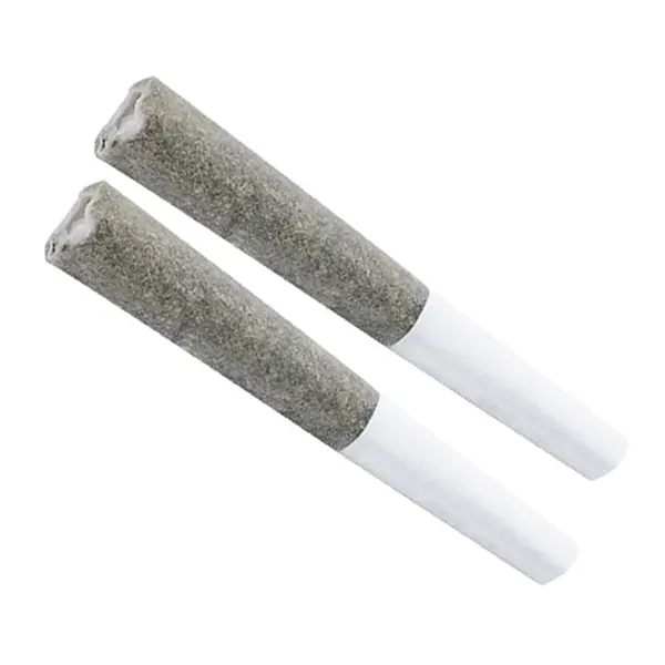 Image for White Russian Pre-Roll, cannabis all flower by Indiva