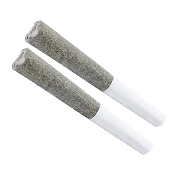 White Russian Pre-Roll (Pre-Rolls) by Indiva