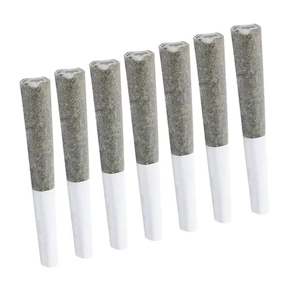 White Russian Pre-Roll (Pre-Rolls) by Indiva