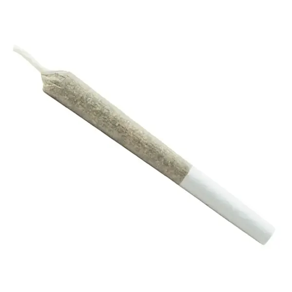 Image for Sativa | OG Melon Pre-Roll, cannabis all categories by Ace Valley