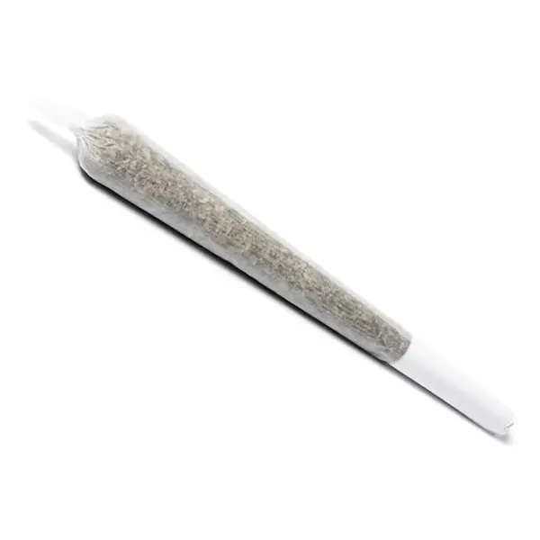 Product image for BC Sensi Star Pre-Roll, Cannabis Flower by Flowr