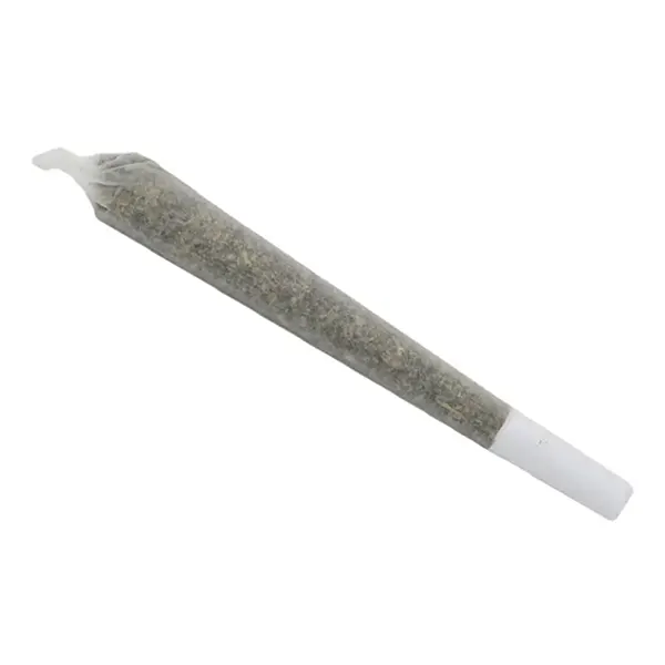 Blue Dream Pre-Roll (Pre-Rolls) by Canna Farms