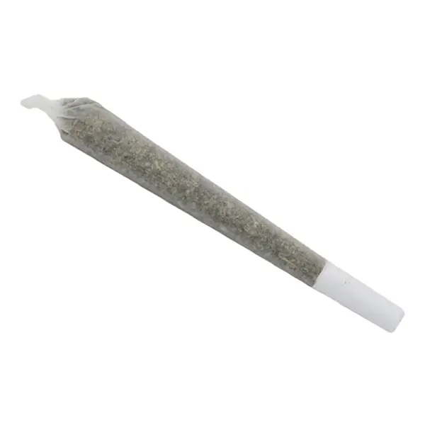 Product image for Critical Super Silver Haze Pre-Roll, Cannabis Flower by Canna Farms