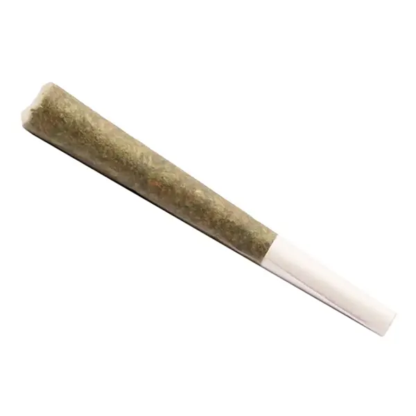 FUEL Pre-Roll