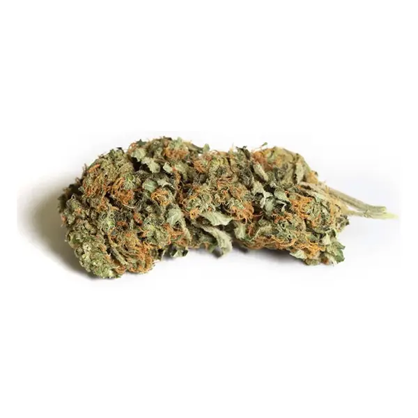 Bud image for Mango Haze, cannabis dried flower by Kiwi Cannabis