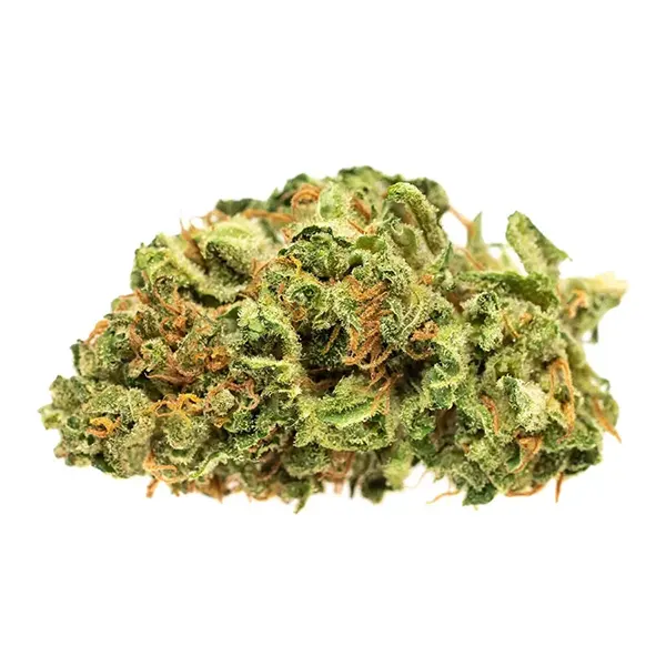 Product image for Jean Guy, Cannabis Flower by Good Supply