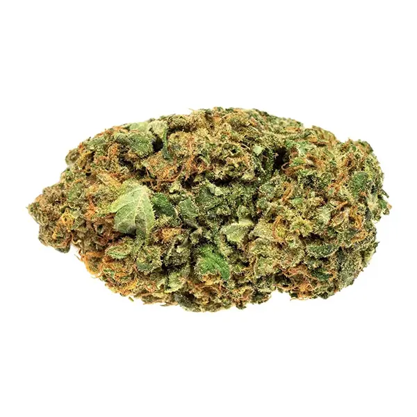 Bud image for Free, cannabis all categories by Solei