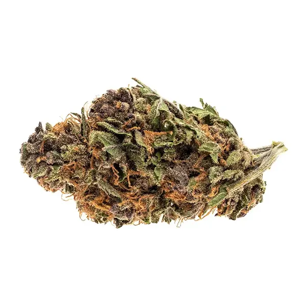 Bud image for Royal Highness, cannabis dried flower by Good Supply