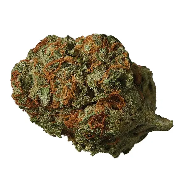 Product image for Atlantis, Cannabis Flower by Hexo