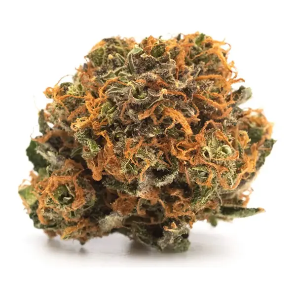 Bud image for Balanced, cannabis all products by Plain Packaging