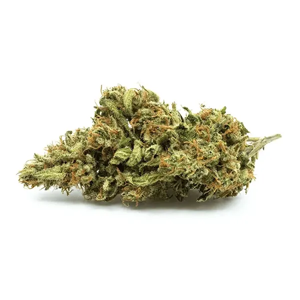 Product image for Charlotte CBD, Cannabis Flower by Redecan