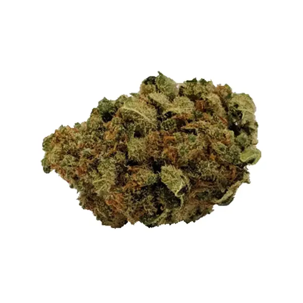 Product image for Plain Packaging Cannabis Extracts by Canopy Growth Corp.