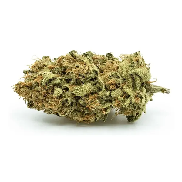 Product image for Mistletoke, Cannabis Flower by Redecan
