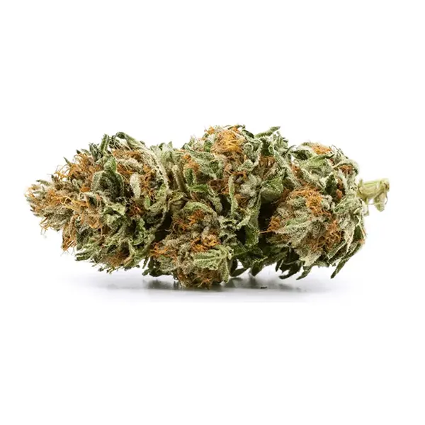 Bud image for Charlees, cannabis dried flower by Redecan