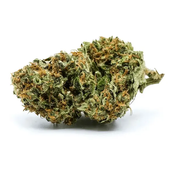 Product image for White Widow, Cannabis Flower by Redecan
