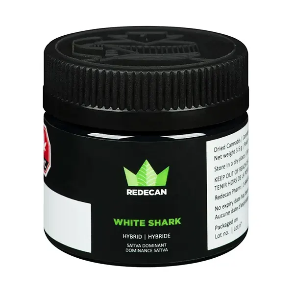 White Shark (Dried Flower) by Redecan