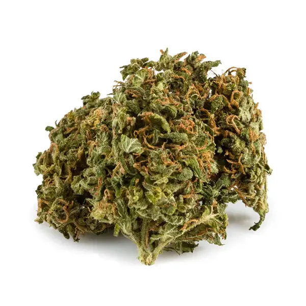 Product image for Ghost Train Haze, Cannabis Flower by Aurora