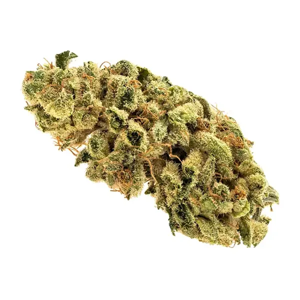 Bud image for DT81, cannabis dried flower by RIFF