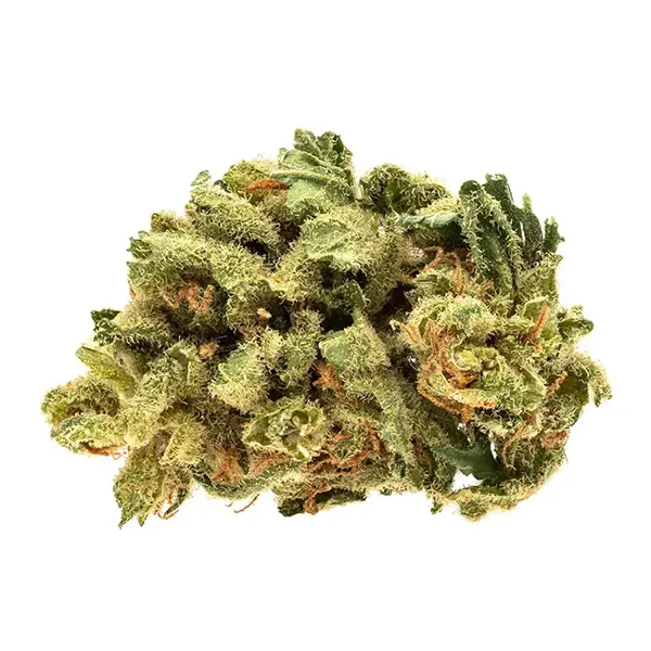 Product image for Raider Kush, Cannabis Flower by RIFF