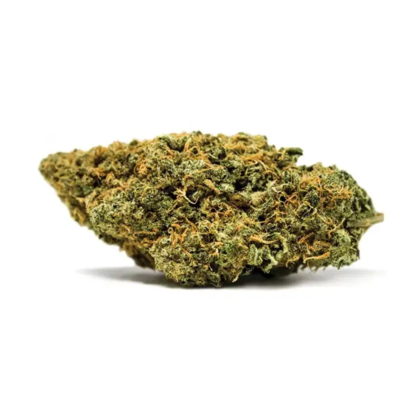 White Widow (Dried Flower) by Spinach