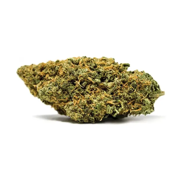 Bud image for White Widow, cannabis all categories by Spinach