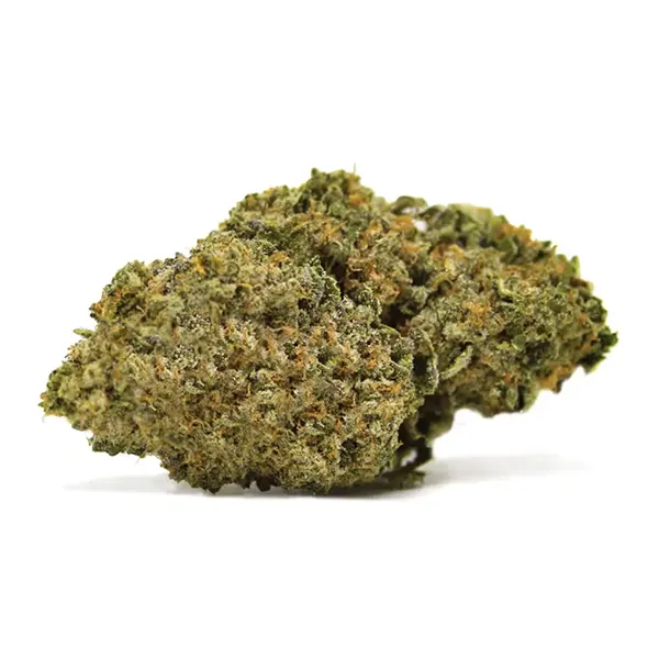 Product image for Rockstar Kush, Cannabis Flower by Spinach