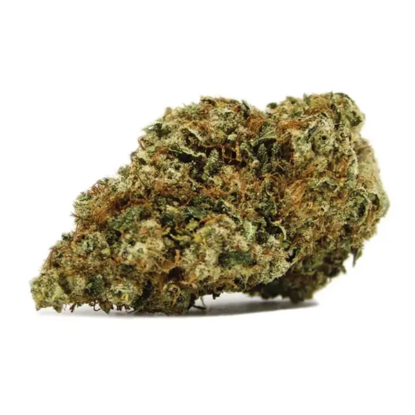 Bud image for Diesel, cannabis all categories by Spinach