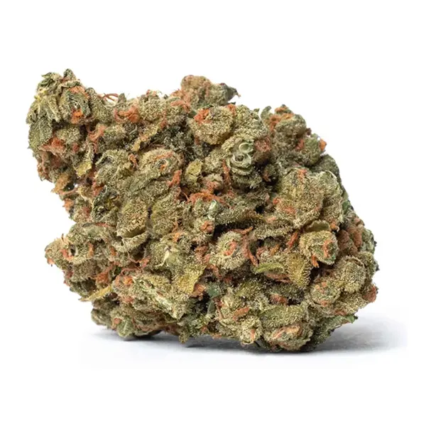 Bud image for Walk the Dog, cannabis all products by Xscape