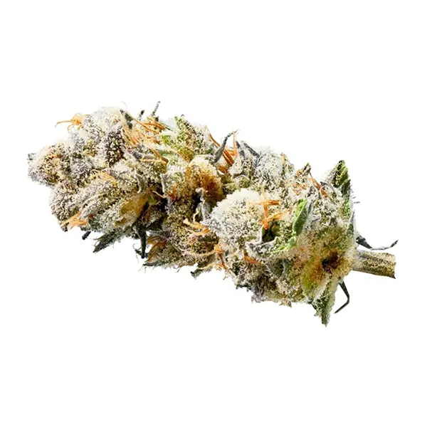Product image for Moon, Cannabis Flower by UP