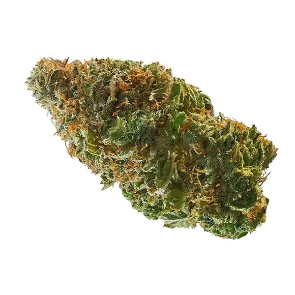 Trainwreck (Dried Flower) by Gage Cannabis